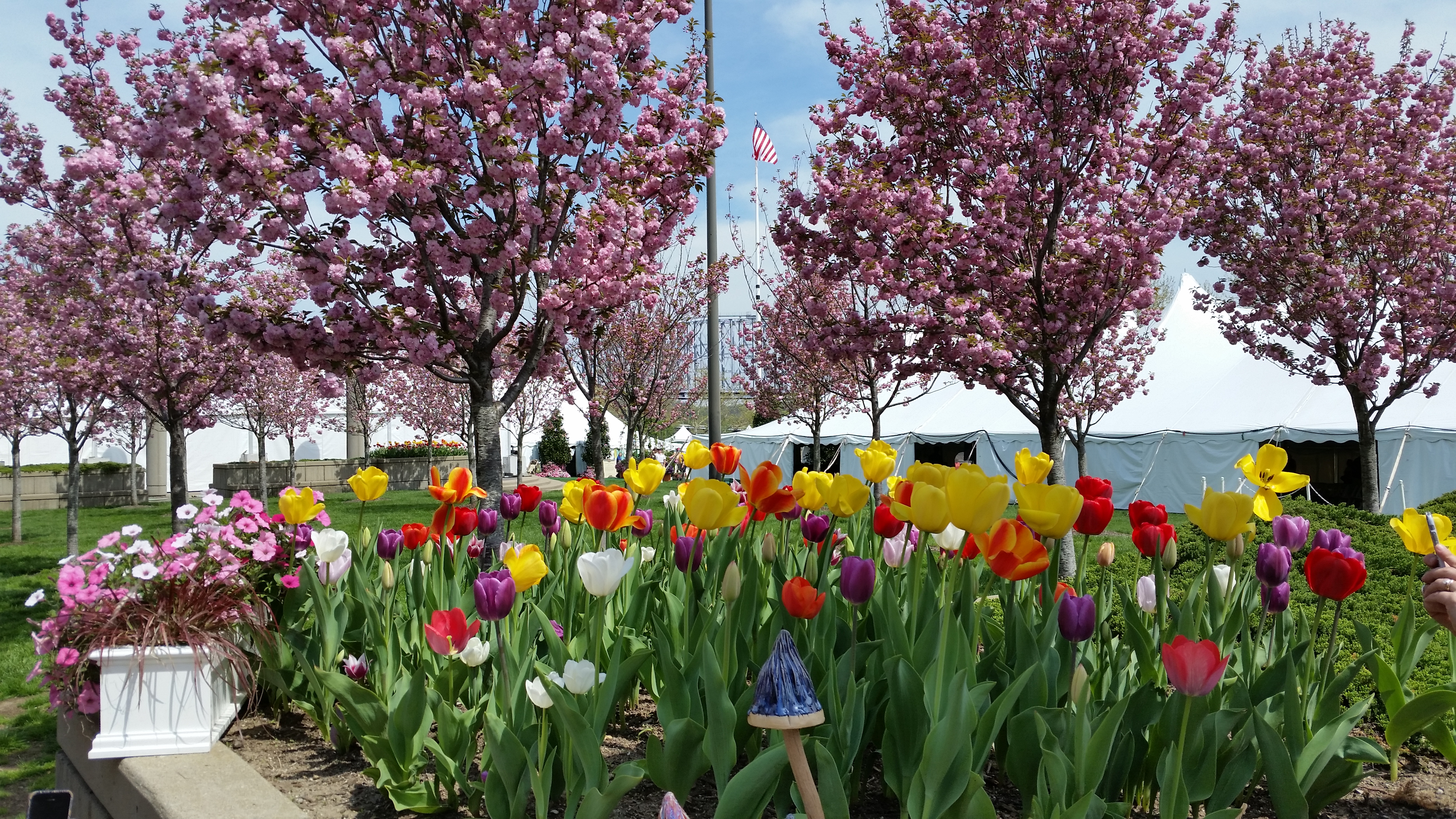 A picture of blooming flowers and trees at the Cincinnati Flower Shower