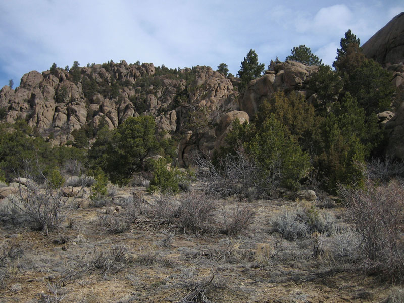 A picture of Four Mile nature preserve in Buena Vista, Colorado