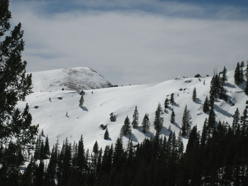 View from Mount Yale treeline at 13,000 feet, near Buena Vista, Colorado